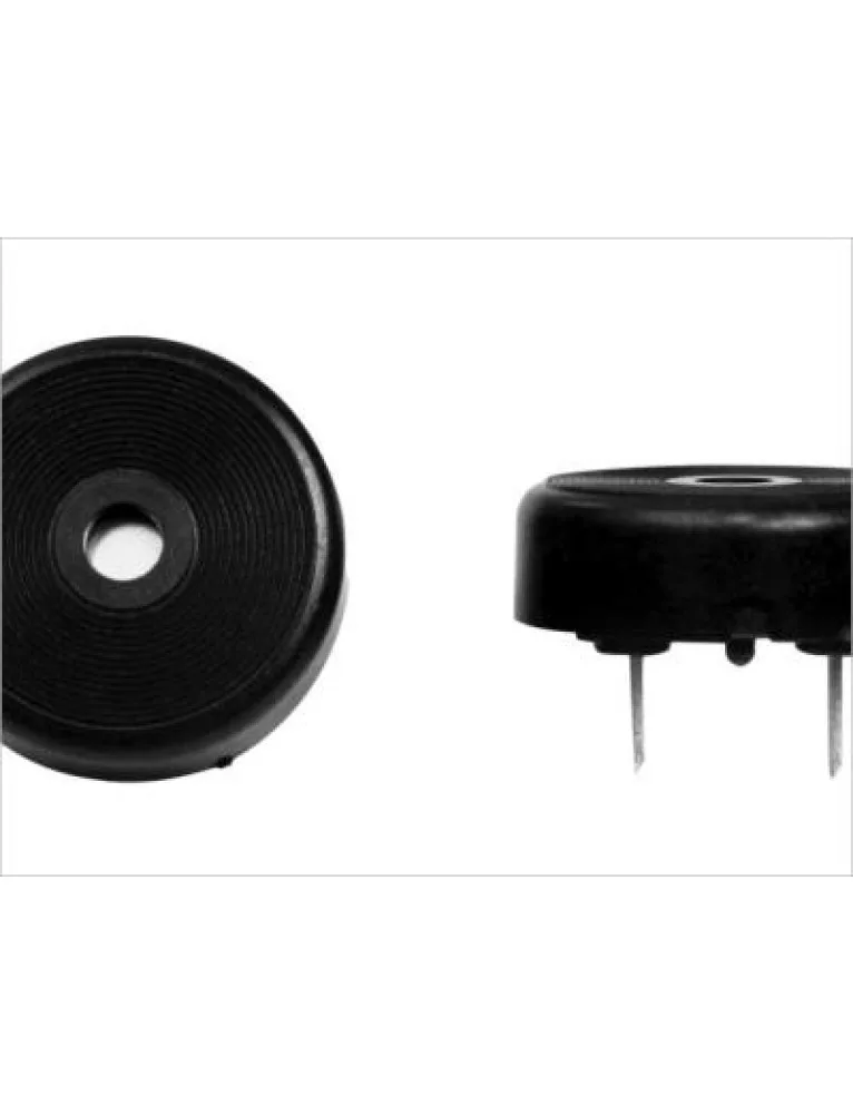 12V 22 mm DEVRESİZ BUZZER